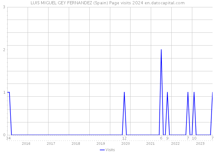 LUIS MIGUEL GEY FERNANDEZ (Spain) Page visits 2024 