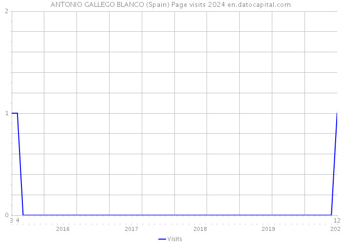 ANTONIO GALLEGO BLANCO (Spain) Page visits 2024 