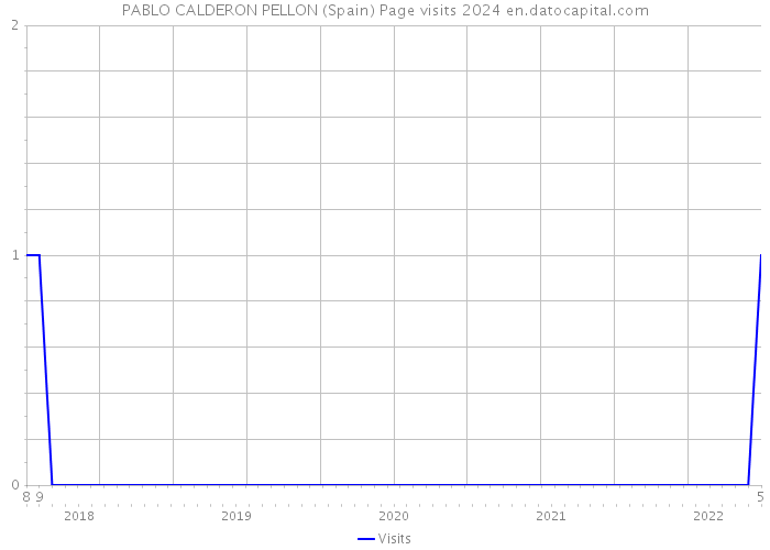 PABLO CALDERON PELLON (Spain) Page visits 2024 