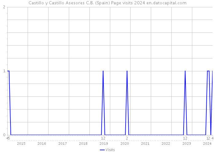 Castillo y Castillo Asesores C.B. (Spain) Page visits 2024 