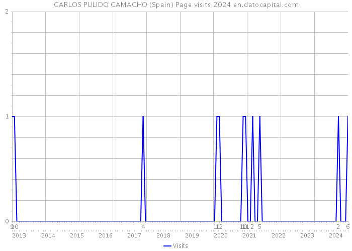 CARLOS PULIDO CAMACHO (Spain) Page visits 2024 