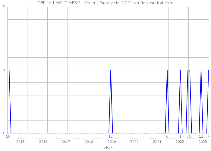 DEPILA I MOLT MES SL (Spain) Page visits 2024 