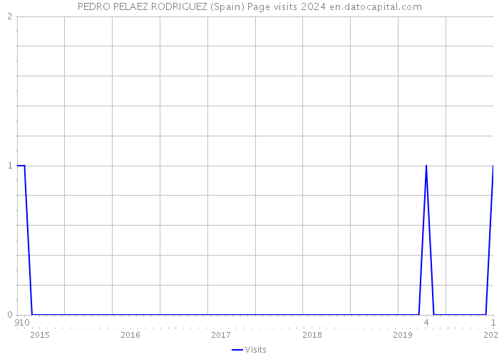 PEDRO PELAEZ RODRIGUEZ (Spain) Page visits 2024 