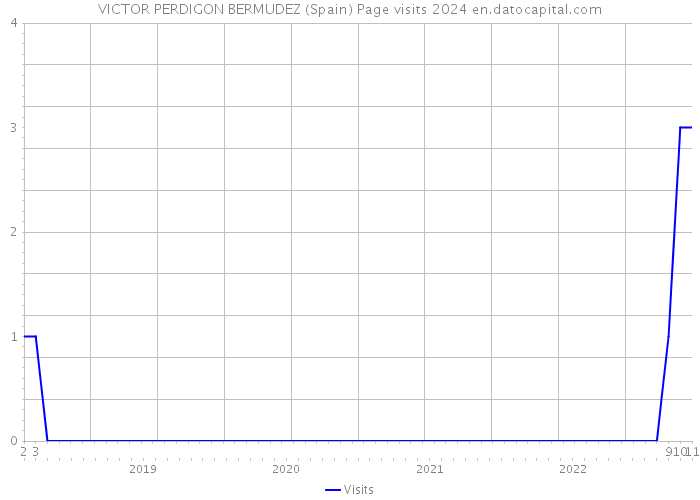 VICTOR PERDIGON BERMUDEZ (Spain) Page visits 2024 