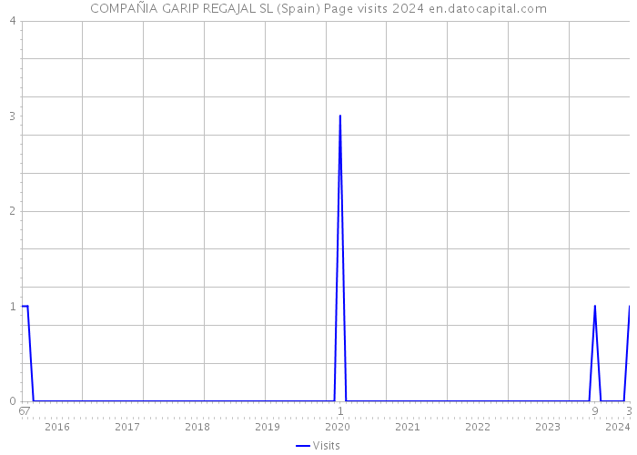 COMPAÑIA GARIP REGAJAL SL (Spain) Page visits 2024 