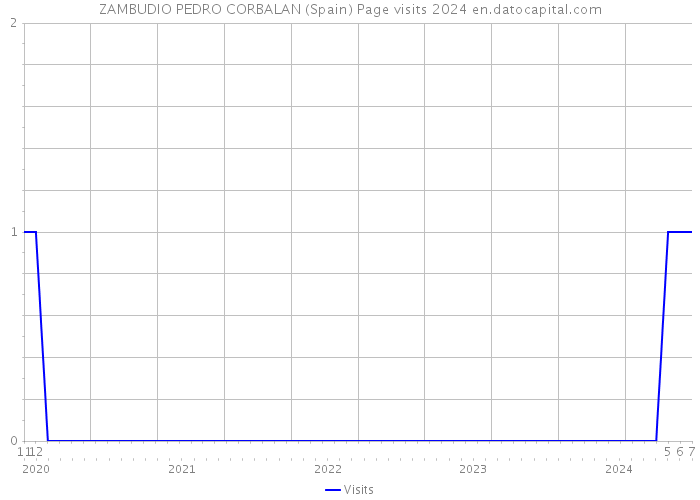 ZAMBUDIO PEDRO CORBALAN (Spain) Page visits 2024 