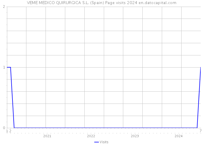 VEME MEDICO QUIRURGICA S.L. (Spain) Page visits 2024 