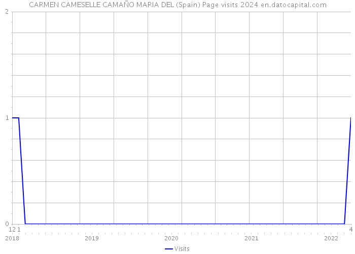CARMEN CAMESELLE CAMAÑO MARIA DEL (Spain) Page visits 2024 