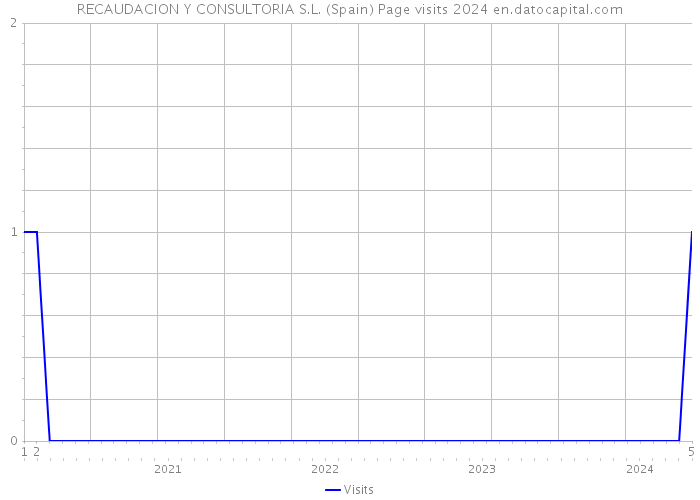 RECAUDACION Y CONSULTORIA S.L. (Spain) Page visits 2024 