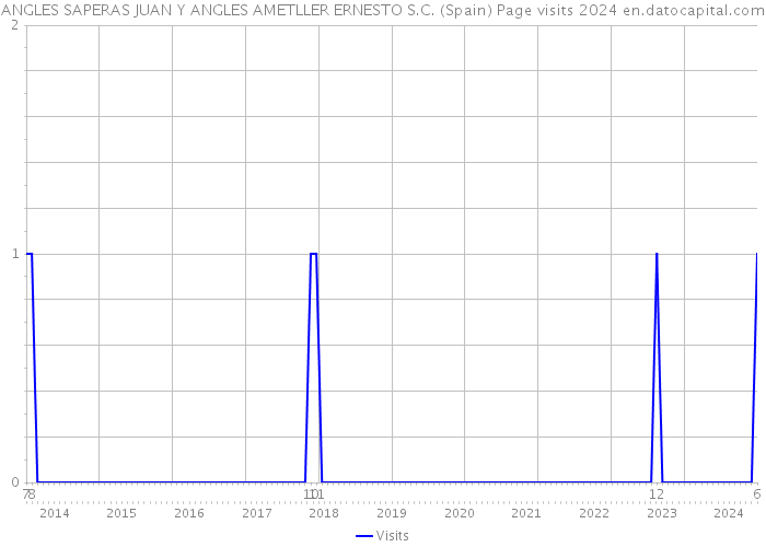 ANGLES SAPERAS JUAN Y ANGLES AMETLLER ERNESTO S.C. (Spain) Page visits 2024 
