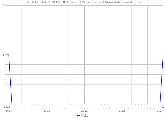 GONZALO PASTOR MOLINA (Spain) Page visits 2024 