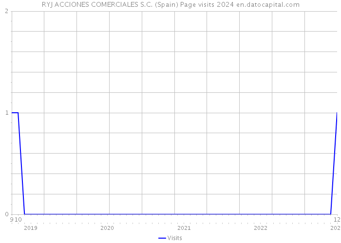 RYJ ACCIONES COMERCIALES S.C. (Spain) Page visits 2024 