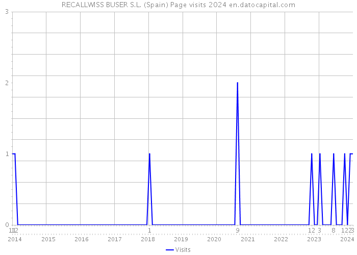 RECALLWISS BUSER S.L. (Spain) Page visits 2024 