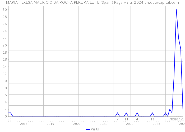 MARIA TERESA MAURICIO DA ROCHA PEREIRA LEITE (Spain) Page visits 2024 