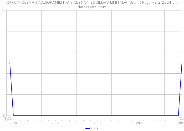 GARCIA GUZMAN ASESORAMIENTO Y GESTION SOCIEDAD LIMITADA (Spain) Page visits 2024 