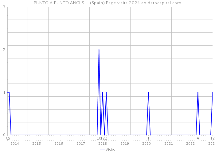 PUNTO A PUNTO ANGI S.L. (Spain) Page visits 2024 