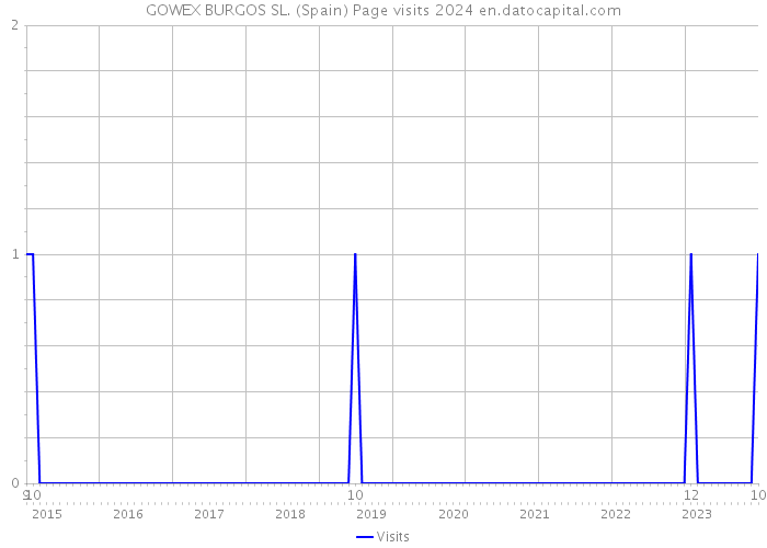 GOWEX BURGOS SL. (Spain) Page visits 2024 