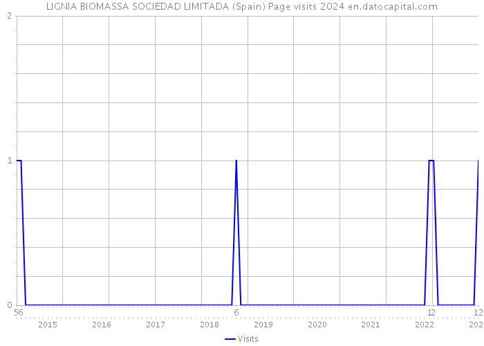 LIGNIA BIOMASSA SOCIEDAD LIMITADA (Spain) Page visits 2024 