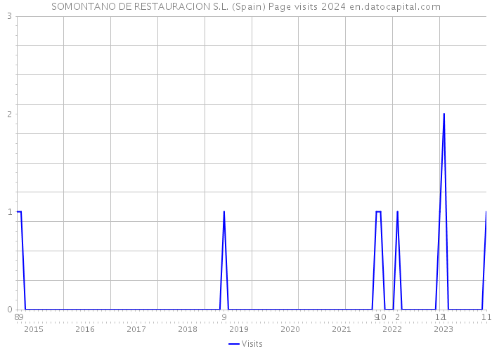 SOMONTANO DE RESTAURACION S.L. (Spain) Page visits 2024 