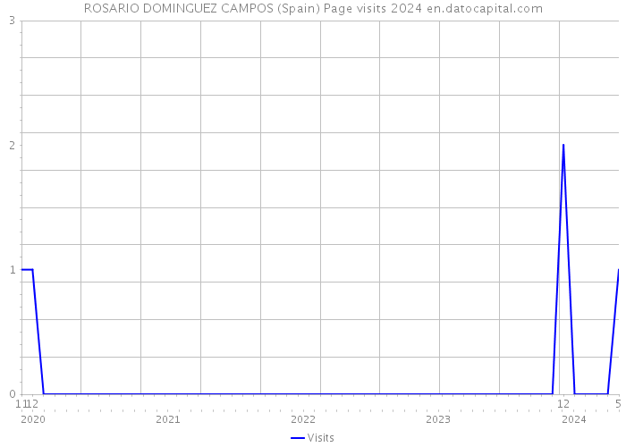 ROSARIO DOMINGUEZ CAMPOS (Spain) Page visits 2024 