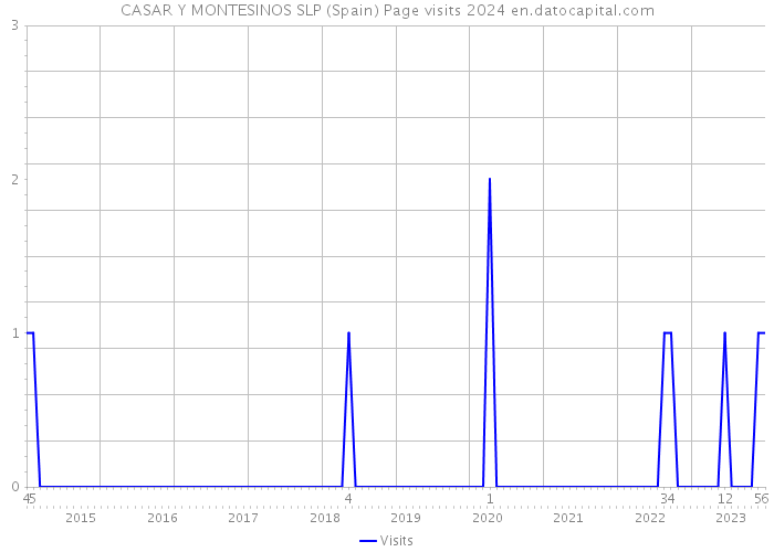 CASAR Y MONTESINOS SLP (Spain) Page visits 2024 