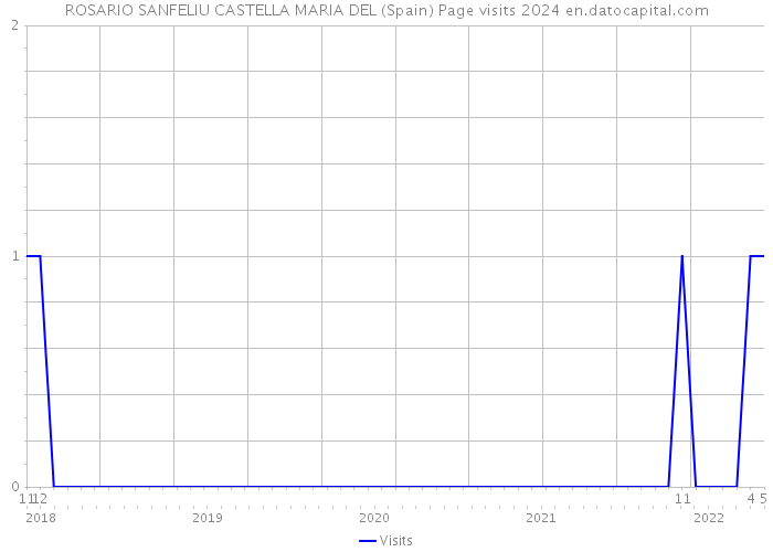 ROSARIO SANFELIU CASTELLA MARIA DEL (Spain) Page visits 2024 