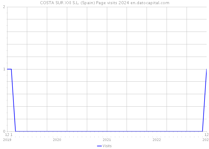 COSTA SUR XXI S.L. (Spain) Page visits 2024 