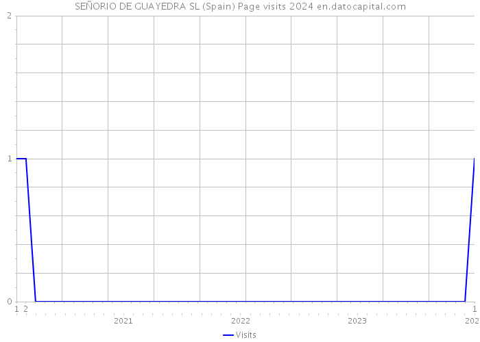 SEÑORIO DE GUAYEDRA SL (Spain) Page visits 2024 