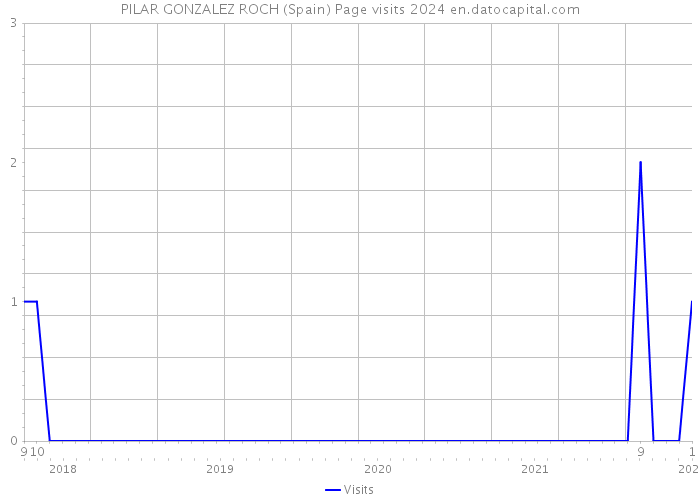 PILAR GONZALEZ ROCH (Spain) Page visits 2024 