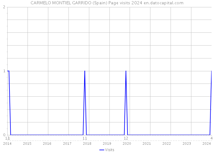 CARMELO MONTIEL GARRIDO (Spain) Page visits 2024 