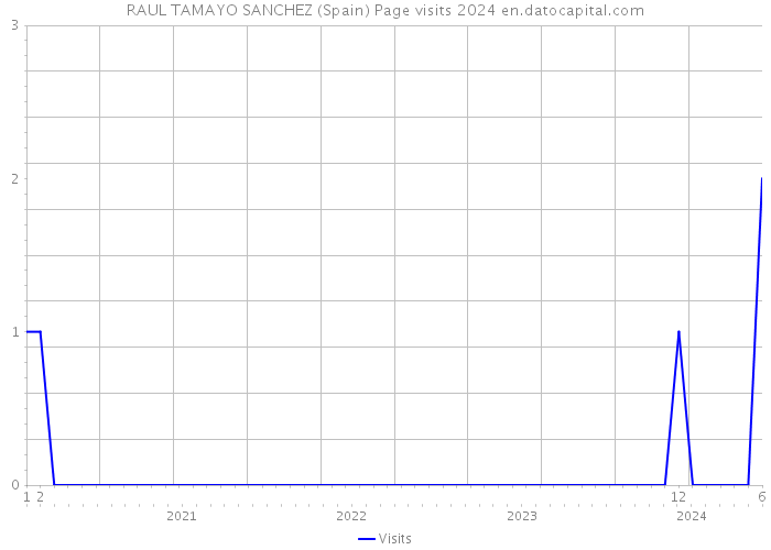 RAUL TAMAYO SANCHEZ (Spain) Page visits 2024 