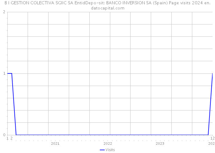 B I GESTION COLECTIVA SGIIC SA EntidDepo-sit: BANCO INVERSION SA (Spain) Page visits 2024 