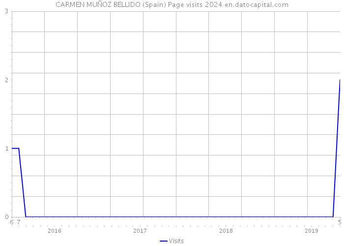 CARMEN MUÑOZ BELLIDO (Spain) Page visits 2024 