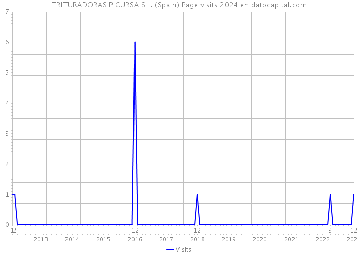 TRITURADORAS PICURSA S.L. (Spain) Page visits 2024 