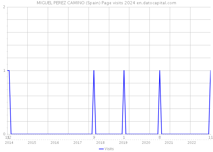 MIGUEL PEREZ CAMINO (Spain) Page visits 2024 