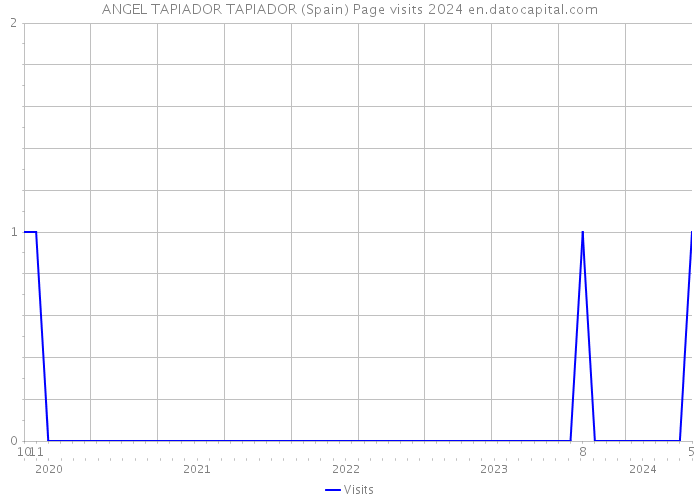 ANGEL TAPIADOR TAPIADOR (Spain) Page visits 2024 