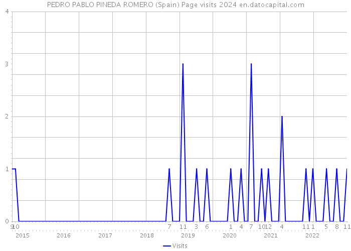 PEDRO PABLO PINEDA ROMERO (Spain) Page visits 2024 