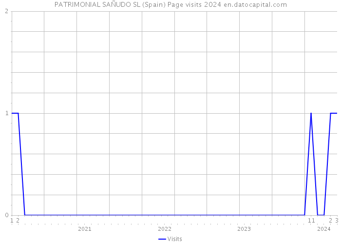 PATRIMONIAL SAÑUDO SL (Spain) Page visits 2024 