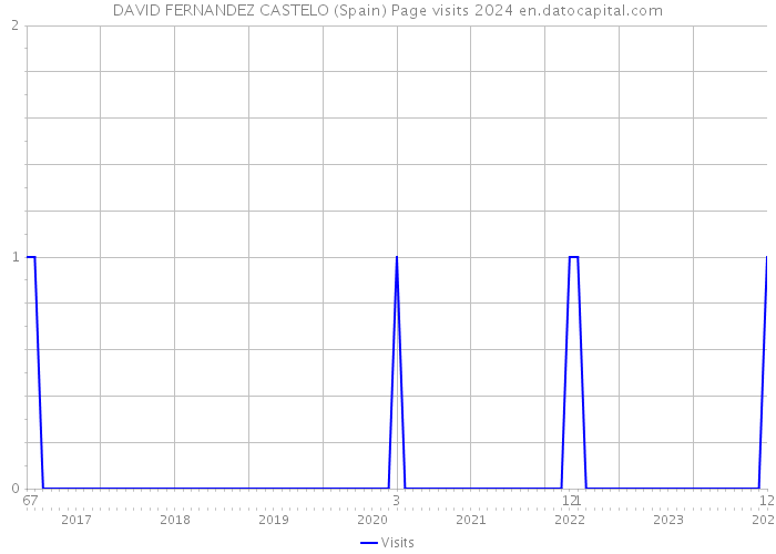 DAVID FERNANDEZ CASTELO (Spain) Page visits 2024 