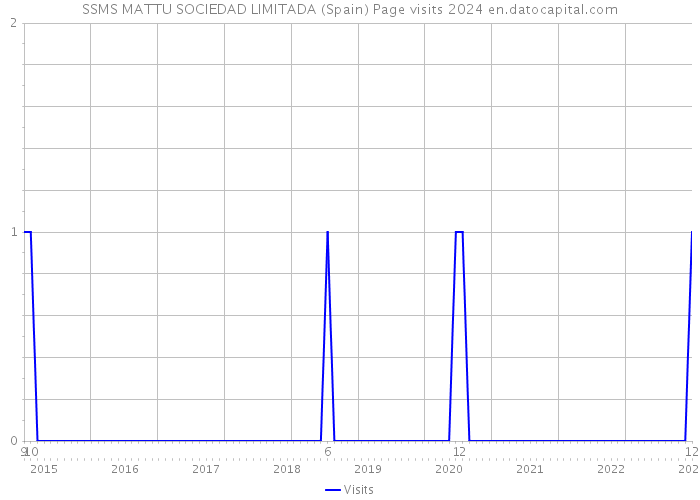 SSMS MATTU SOCIEDAD LIMITADA (Spain) Page visits 2024 