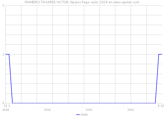 PINHEIRO TAVARES VICTOR (Spain) Page visits 2024 