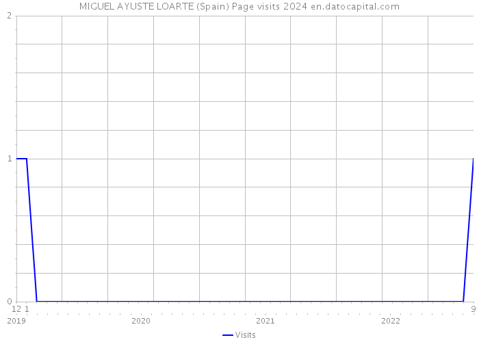 MIGUEL AYUSTE LOARTE (Spain) Page visits 2024 