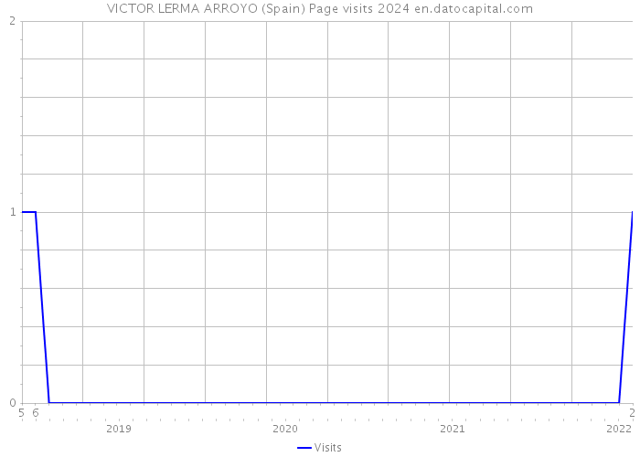 VICTOR LERMA ARROYO (Spain) Page visits 2024 