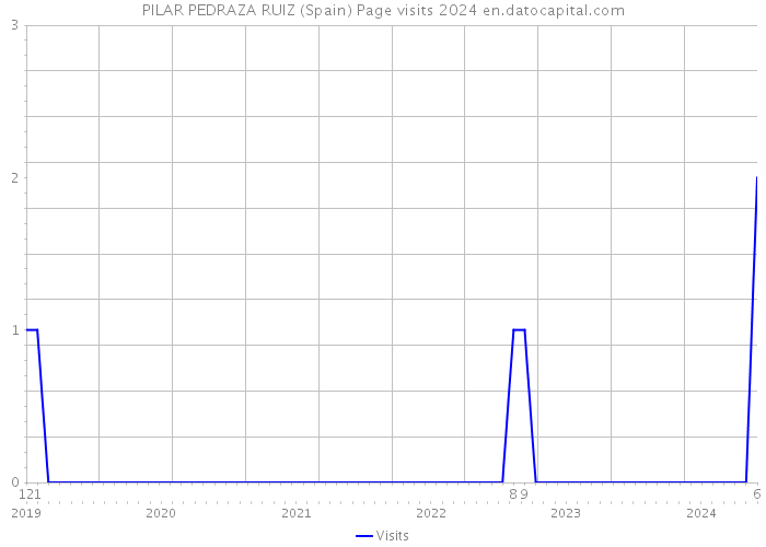 PILAR PEDRAZA RUIZ (Spain) Page visits 2024 