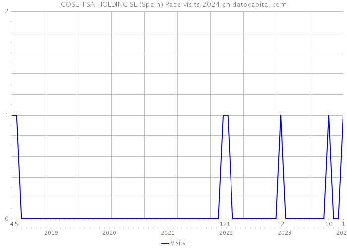 COSEHISA HOLDING SL (Spain) Page visits 2024 