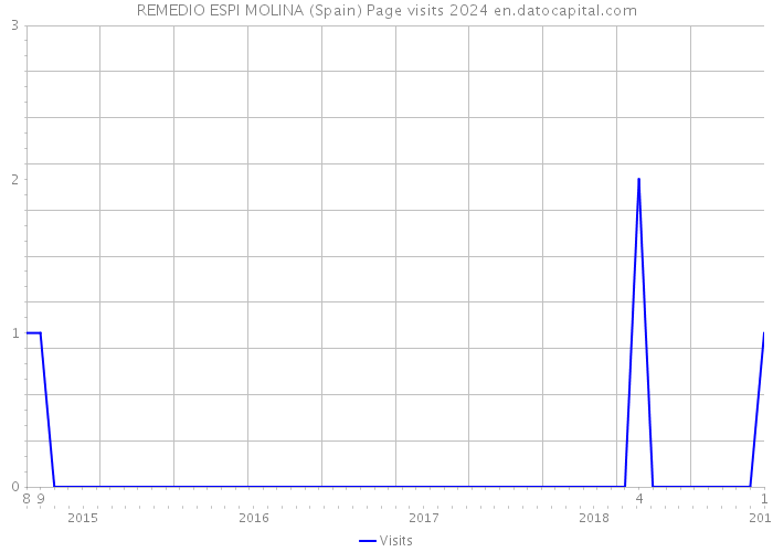 REMEDIO ESPI MOLINA (Spain) Page visits 2024 