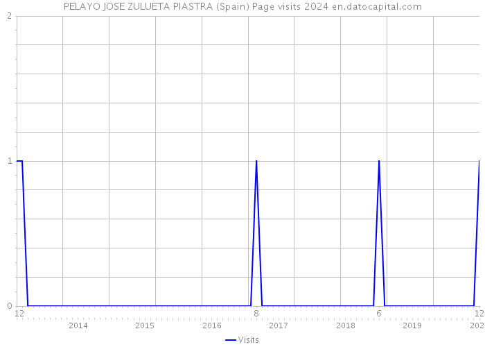 PELAYO JOSE ZULUETA PIASTRA (Spain) Page visits 2024 
