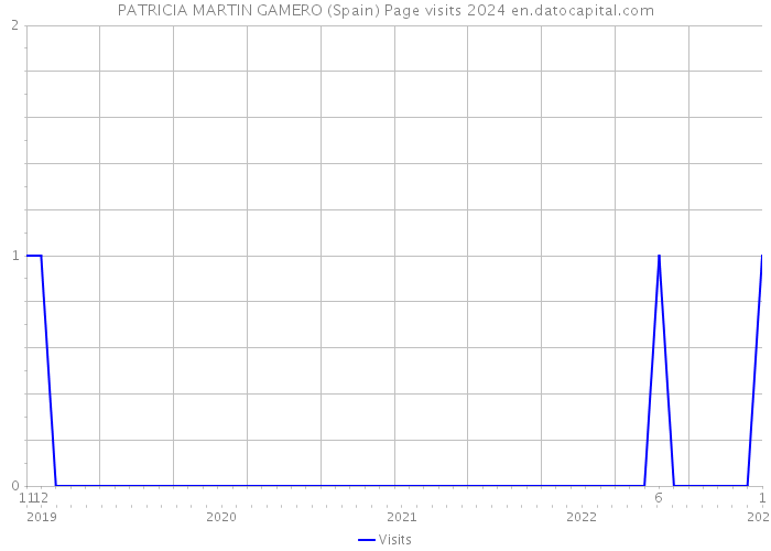 PATRICIA MARTIN GAMERO (Spain) Page visits 2024 