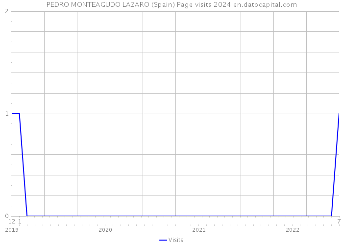 PEDRO MONTEAGUDO LAZARO (Spain) Page visits 2024 