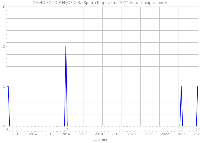 DAVID SOTO E HIJOS C.B. (Spain) Page visits 2024 